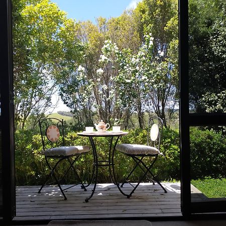 Dangela Boutique Lodge Auckland Szoba fotó